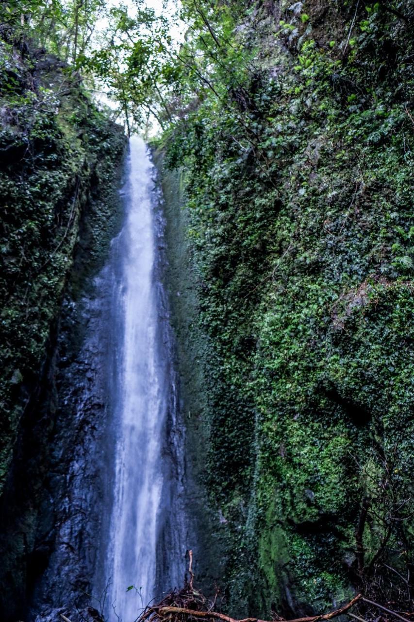 Recidencia Del Hamor Sorsogon Dış mekan fotoğraf